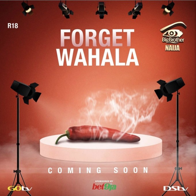 Big Brother Naija Season 4 Date Has Been Announced! - Onpointy