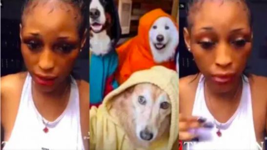 Nigerian Police Launch Manhunt For Young Woman In The Viral S*x- with-dog Video