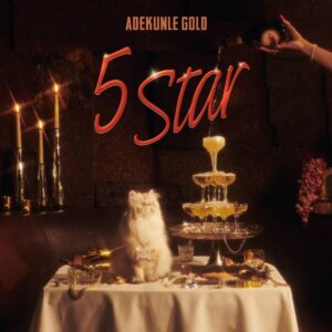 Adekunke Gold – 5 Star