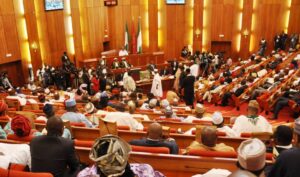 Senate Passes Electricity Bill To Boost Power Distribution