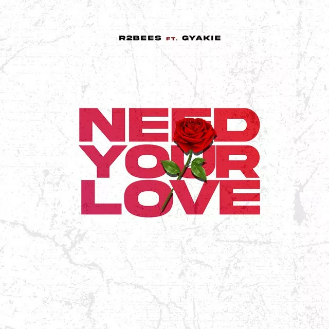 Check out this brand new single from R2Bees titled – Need Your Love.
