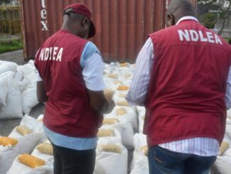 Drama As NDLEA Arrests
Sokoto Village Head, 10
Others Over Drug
Trafficking